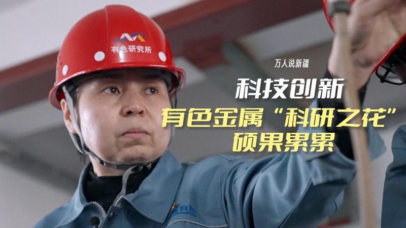 软件定制开发周期：影响因素与实际案例